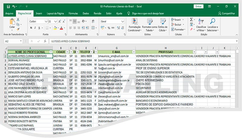 Lista de Emails Profissionais Liberais 3 Prospecção de Novos Clientes Com Listas Emails