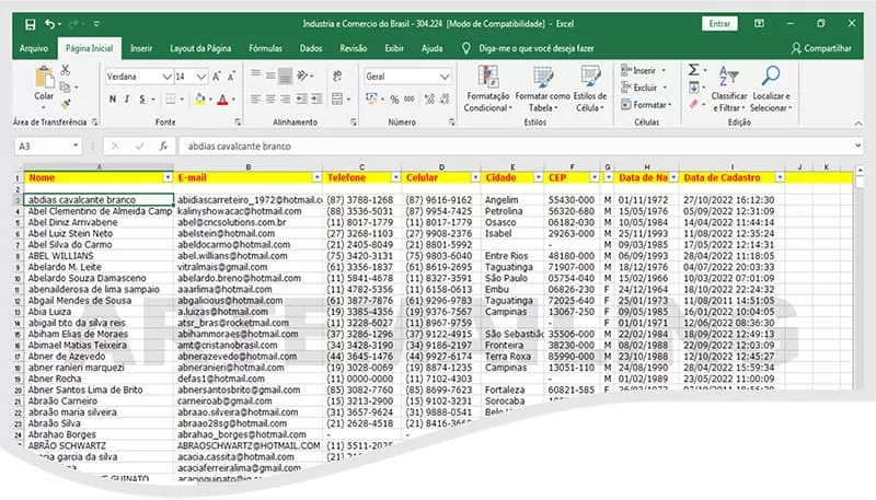 Prospectar Clientes Com Mailing List Segmentado